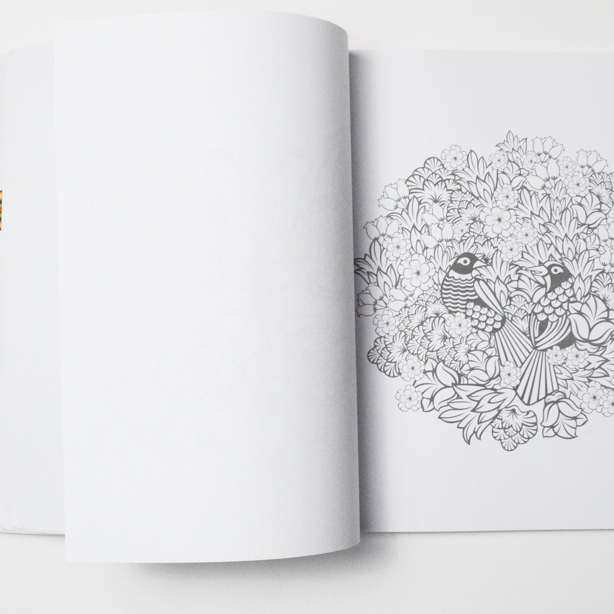 Colorama Coloring Book for Adults with 12 Colored Pencils, Create Something  Wonderful & Relax