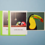 Bird Themed Card + Envelope Bundle