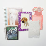 Animal Notebook + Notepad Bundle