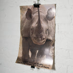Rhino Poster (Pick-Up Only) Default Title