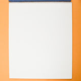 Strathmore 500 Bristol High Surface 2-Ply Drawing Pad - 14" x 17"