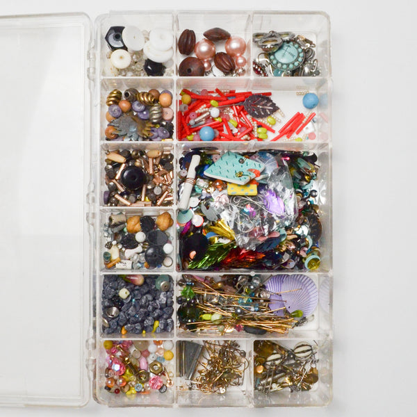 Assorted Beads + Findings in Clear Compartment Case