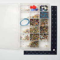 Mixed Seed Beads in Clear Compartment Case