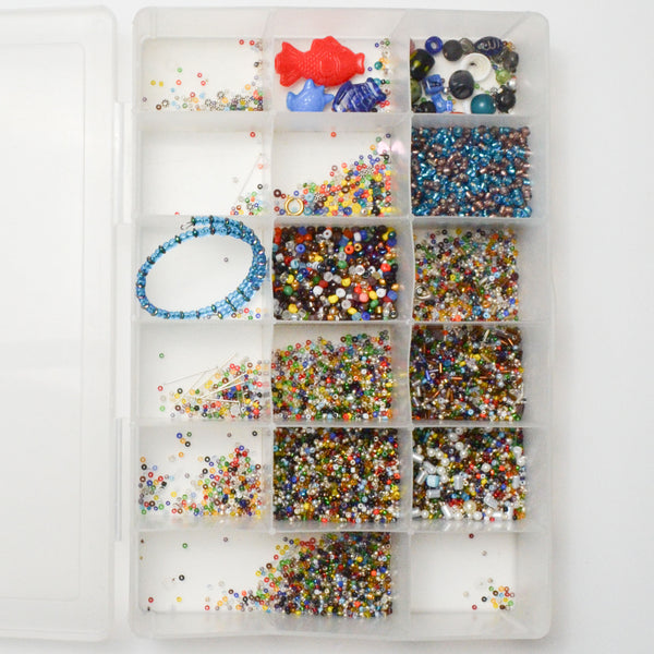 Mixed Seed Beads in Clear Compartment Case