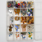 Assorted Glass + Plastic Beads in Clear Compartment Case