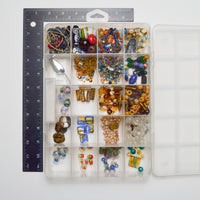 Assorted Glass + Plastic Beads in Clear Compartment Case