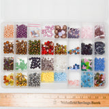 Assorted Glass + Stone Beads in Clear Compartment Case