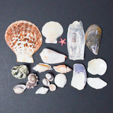 Shell Bundle