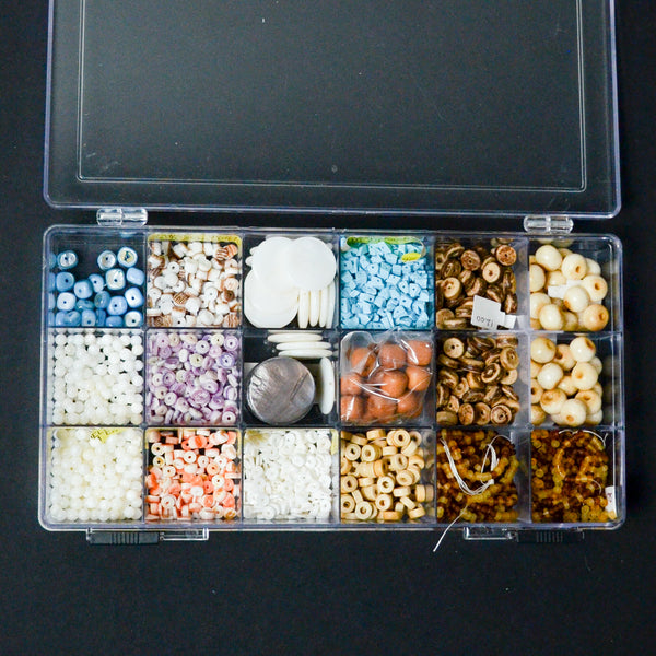 Blue + Brown Shell, Turquoise + Glass Beads in Clear Compartment Case