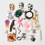 Assorted Pin, Brooch + Charm Bundle