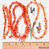 Coral Branch + Assorted Shell Bead Bundle