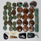Brown + Green Polished Stone Beads, Snowflake Obsidian + Mosasaurus Tooth