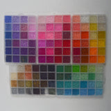 Rainbow Seed Beads in Organizing Case