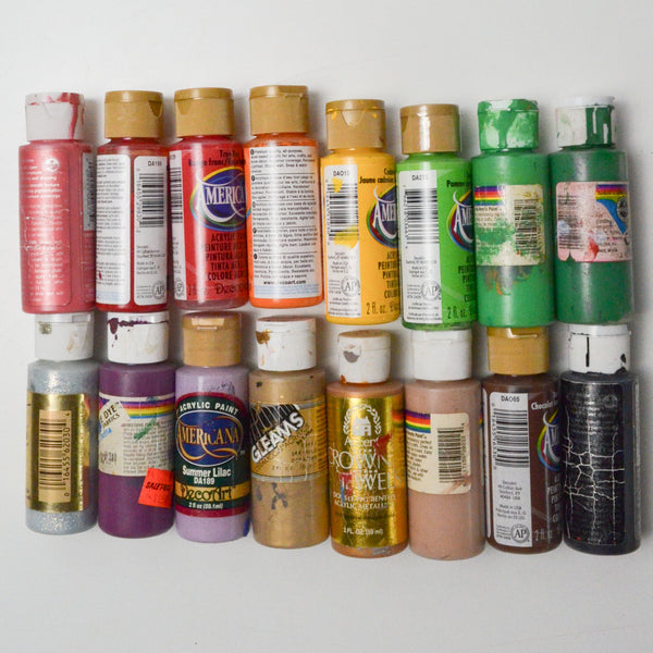 Assorted Craft Paint - 16 Bottles