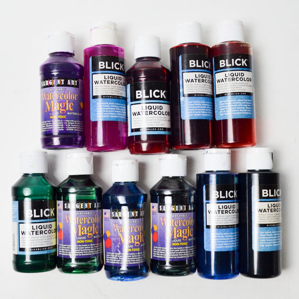 Blick + Sargent Art Liquid Watercolor Bundle