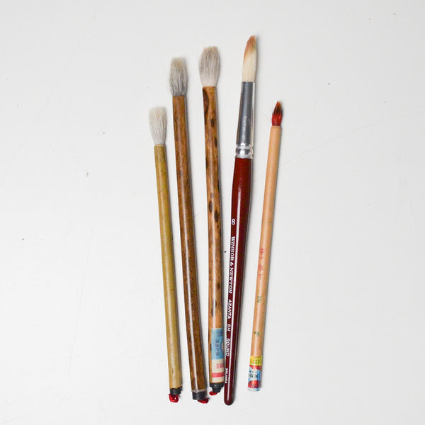 Paint Brushes - Set of 5