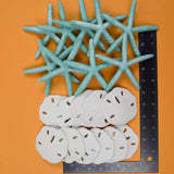 Fake Starfish & Sand Dollars