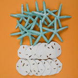 Fake Starfish & Sand Dollars