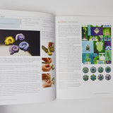 Polymer Clay Color Inspirations Book