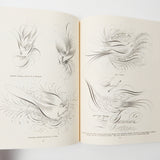 Ornate Pictorial Calligraphy Book