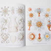 Haeckel's Art Forms from Nature Book