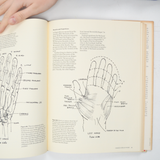 Drawing Portraits Book