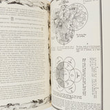 Mandala Book