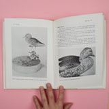 The Art of Bird Carving Book