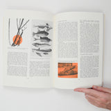 Color: A Survey in Words and Pictures Book