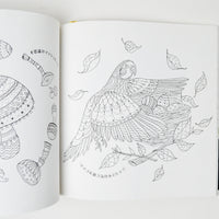 Japanese Alice in Wonderland Coloring Book