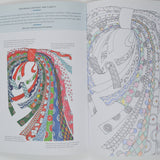 Kaffe Fassett's Adventures in Color Coloring Book