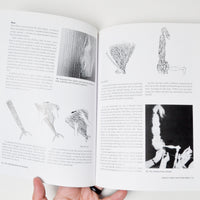 The Ashford Book of Spinning