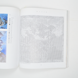 The Tapestry Book Needlepoint Design Book