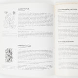 Dyes from Plants Book