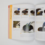 The Complete Guide to Natural Dyeing Book