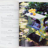 Fantastic Furniture: Intriguing Paint Techniques & Projects Book