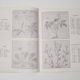 Danish Floral Charted Designs Booklet
