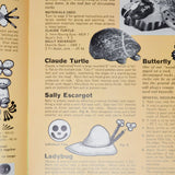 Decorating Rocks for Fun Booklet