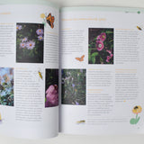 Bloom Magazine - Issue Ten