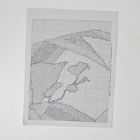 The Silver Lining 25th Anniversary White Rose Counted Cross Stitch Pattern