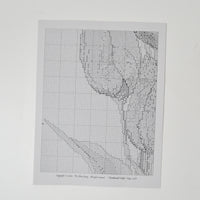 The Silver Lining Rembrandt Tulips Counted Cross Stitch Pattern