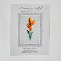 The Silver Lining Rembrandt Tulips Counted Cross Stitch Pattern