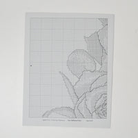 The Silver Lining New Millenium Rose Counted Cross Stitch Pattern