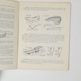 The Neophyte Shipmodeller's Jackstay