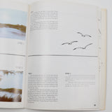 More Magic Methods in Oil with Lynne Pittard Booklet