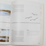 More Magic Methods in Oil with Lynne Pittard Booklet