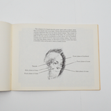 Portraits: Principles and Techniques Booklet