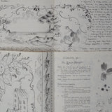 Country Sampler Tole Painting Pattern Booklets - Set of 2