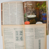 McCall's Christmas Craft Booklets - Set of 2