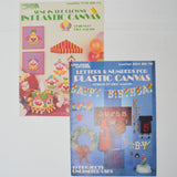 Plastic Canvas Needlepoint Decorations Booklets - Set of 2